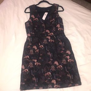 Ann Taylor Size 8 Dress With Pockets